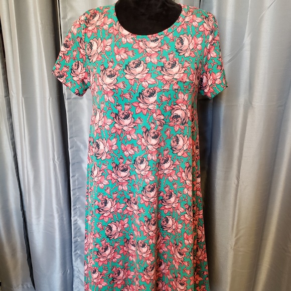 LuLaRoe Dresses & Skirts - LuLaRoe Carly Dress LuLaRoe Dresses & Skirts - LuLaRoe Carly Dress
